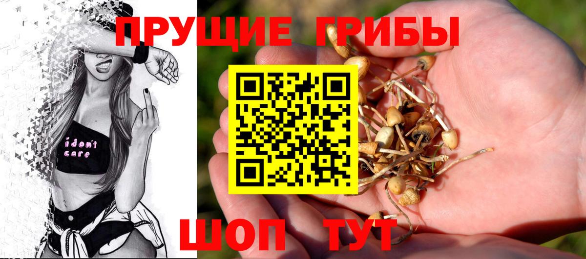 где найти   Вход с VPN  Когалым  Галлюциногенные грибы Magic Shrooms 