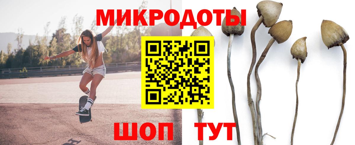 Псилоцибиновые грибы мицелий Когалым